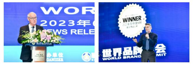 权威认证 bg大游入选中国500最具价值品牌