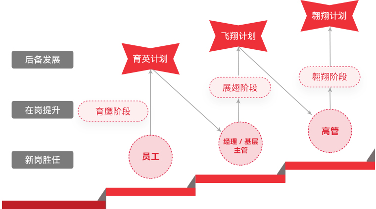 bg大游 "雄鹰妄想"人才梯队作育